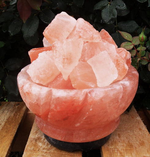 Prosperity Bowl Salt Lamp - Himalayan Glow