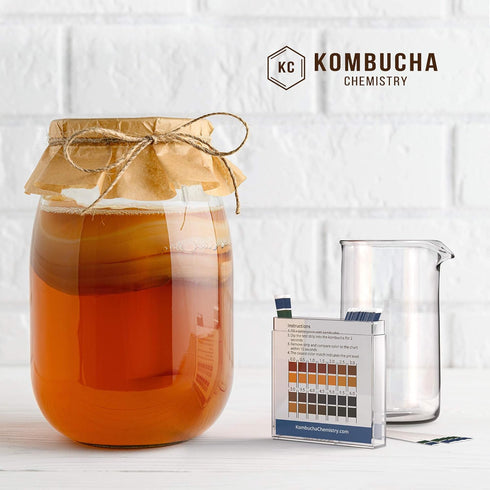 pH Test Strips for Kombucha Brewing 0-6 (0.5 Intervals) - 100pc Kit