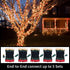 100 20 LAMPHOME Red Clear Valentine's String Lights Mini Incandescent Fairy Light Decor Ft Green Wire Christmas Lifgt