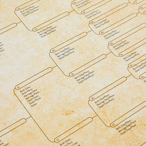 Okuna Outpost 15 Pack Family Tree Charts to Fill In, Off-White Poster Paper, 8 Generation Genealogy Charts