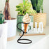 Reusable Metal Ice Cream Cone Holder Stand - Perfect for Parties & Desserts