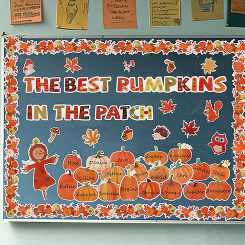 Fall Pumpkin Patch Bulletin Board Decoration - Back to School Decor with Autumn Leaves & Pumpkins