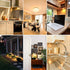 G4 LED Bulb 2W, 20W Halogen Equivalent, Warm White 3000K, AC/DC 12V for Under Cabinet Lighting, 10 Pack