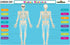 Teacher Created Resources (TCR21028) Human Skeleton Learning Mat
