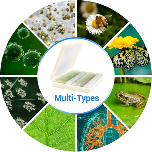 100 Prepared Microscope Slides with Specimens for Kids Adults - Biological Science Lab Samples for School Students