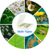 100 Prepared Microscope Slides with Specimens for Kids Adults - Biological Science Lab Samples for School Students