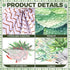 Qilery 66 Pcs Succulents Potted Bulletin Board Set, When We Learn We Grow Plant Cutouts for Classroom Decoration