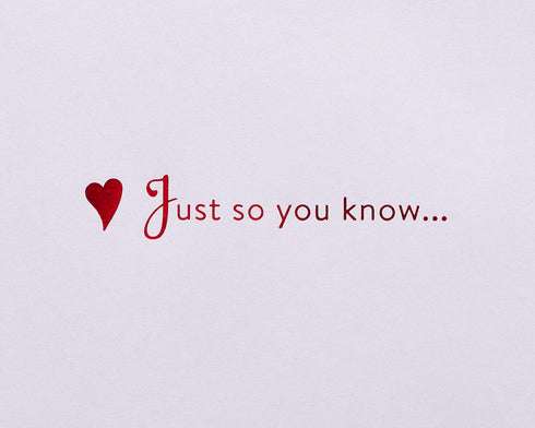 Papyrus Romantic Valentine's Day Card (Just So You Know)