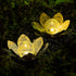 Huaxu Solar Lights Outdoor Garden, Crackle Globe Glass Lotus Decor, Waterproof LED Metal Flower Decorations