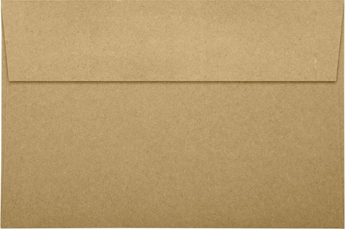 LUXPaper A9 Invitation Envelopes, Grocery Bag Brown, 50 Qty