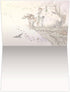 Tree-Free Greetings EcoNotes 12-Count Blank Notecard Set with Envelopes, Where the Wind Take You Fairy by Tree-Free Greetings