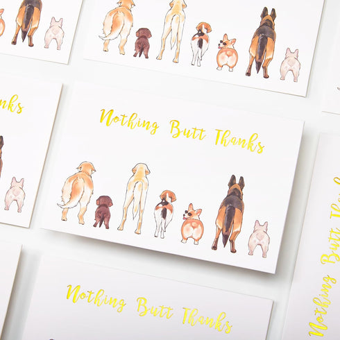 50 Count Crisky Dog Thank You Cards Nothing Butt Thanks Gold Foil Funny Thank You Cards with Envelopes & Stickers