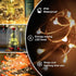 in,200FT 600LEDs Lights,8 Fairy Lights Plug Waterproof Led String Modes Remote Twinkle Light for Outdoor Indoor