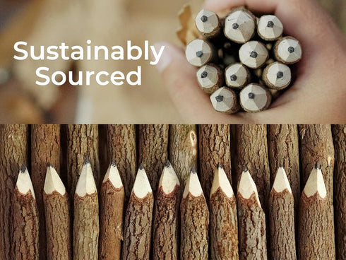 BSIRI Rustic Twig Wooden Graphite Pencils, 12-Pack, Birch Tree, Camping Decorations, Novelty Gifts for Kids