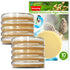 Evviva Sciences Potato Dextrose Agar Petri Dishes, Prepoured for Mushrooms, Home Test Kit, Science Fair