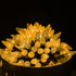 Dazzle Bright C6 Battery Operated Christmas Lights, 2 Pack Total 100LED 34FT Warm White Indoor Outdoor Decor