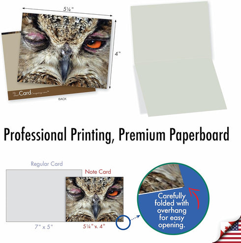 The Best Card Company 10 Bird Note Cards Blank (4 x 5.12 Inch) with Envelopes, Boxed Set