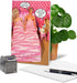 NobleWorks -1 Funny Birthday Card, Inappropriate Humor, Rather Have a Puppy, 3604