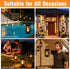 2 Pack 4 Solar Lantern Lights Outdoor Waterproof Flickering Flame Light, Solar Lights with Dual Charging (USB/Solar)