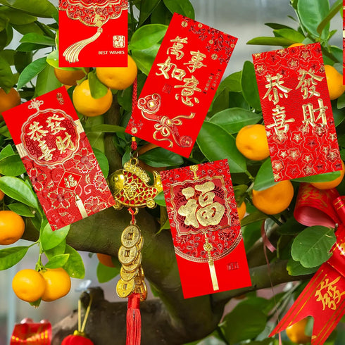 Winlyn 120 Pcs Asian Red Envelopes, 6 Designs for Chinese Lunar New Year, Wedding, Birthday, Cash Envelopes
