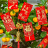 Winlyn 120 Pcs Asian Red Envelopes, 6 Designs for Chinese Lunar New Year, Wedding, Birthday, Cash Envelopes