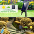 11.5FT 5FT 240 8 x Solar Christmas Net Lights Outdoor with Remote, LED USB Warm White Mesh Lights for Bushes