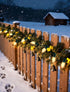 Adirxon (2-Pack) 50FT 50 C9 Bulbs LED Outdoor Christmas Lights, Waterproof & Connectable String Lights for Holiday