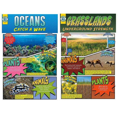 North Star Teacher Resource Biomes Bulletin Board Set