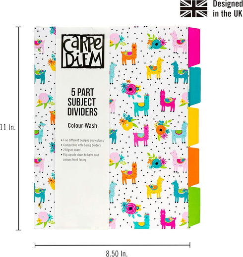 Pukka Pad Carpe Diem Reversible Dividers – 1 Pack of 5 Tabbed Set for 3-Ring Binder, Multi-Color Page Separators