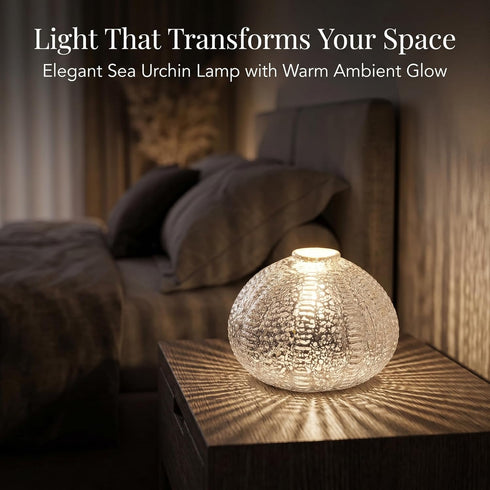Dimmable DUSVALLY Sea Urchin Table Lamp, Battery Operated LED Table Lamp, Cordless Warm White Glass Accent Lamp