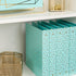 Blu Monaco Cute 3 Ring Binders for School, College, Work, Set of 2 Aqua Pastel Binders with Gold Foil Design