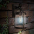 Feit Electric ST19 Vintage Edison LED Light Bulb, 60W Equivalent, Dimmable, 5000K Daylight, 800 Lumens, 8 Pack