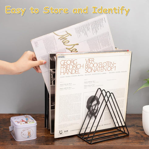 Udreamer 9 Slot Vinyl Holder, Desktop Vinyl Record Storage for Up to 30 Vinyl Records, Metal Magazine Rack for Office