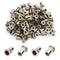 MroMax 100Pcs M6 Carbon Steel Rivet Nuts Flat Head Threaded Insert Nutsert Zinc Plated Finish for Automotive