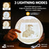 Its a Boy Moon Lamp Personalized Baby Boy Night Light with Custom Text & Photo | Newborn Gift, Nursery Decor, Baby
