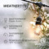 24 Dimmable 2w Bulbs -Commercial 7 Brightech Ambience Pro - Ft Waterproof LED Outdoor String Lights - Hanging, Vintage