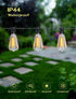 Hobbynors 10-Pack 24V ST38 Bulbs Bulbs (E12 2700K 120V LED Replacement for Outdoor String Lights, Shatterproof Plastic