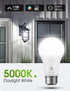LOHAS Dusk to Dawn Sensor Light Bulbs Outdoor, A19 12W(100 Watt Equivalent) LED Bright Porch Lighting, Daylight White 5000K, 1100LM, Auto-On/Off, E26 Base for Outside, Garage, Patio, Yard, 2 Pack by L LOHAS LED
