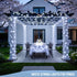 250 91.5ft 8 JMEXSUSS LED White Christmas Lights Outdoor, Extendable White String Lights Indoor, Christmas Tree Lights