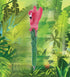 Bundle of Sloth, Llama, Tropical Flamingo, & Red Parrot Novelty Pens – Colorful Tropical Animals Writing Pens for