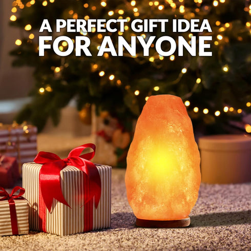 Dimmer Bulb 6-8 LBS, 1001 WBM LLC Himalayan Glow Natural Pink Salt Lamp, Crystal Salt Lamp Night Light with (ETL