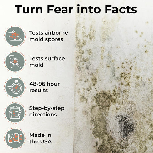 Teton Environmental, Inc. 10 Mold Test Kit Test Different Areas in Home, Swab Sample and Air Sample, Easy-to-Use Guide
