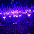 1 Pack Solar Lights Outdoor Waterproof Ground Inserted, Imitation Lavender Solar Garden Lights, Solar Pathway Lights