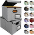 BALEINE Collapsible File Organizer Box with Lid - 2 Pack Grey Document Storage