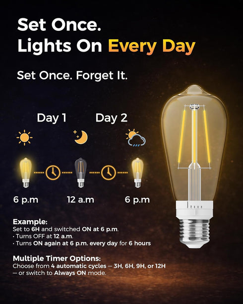 ST19 Bulb 2 Pack: Bulbs 3H/6H/9H/12H 2700K 600lm, E26 Timer Light Vintage Edison LED with Built-in Timer, Auto Modes