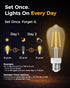 ST19 Bulb 2 Pack: Bulbs 3H/6H/9H/12H 2700K 600lm, E26 Timer Light Vintage Edison LED with Built-in Timer, Auto Modes