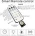GHJ 100LEDs) Battery Operated Remote Control Rainproof LED String Lights, Color Changing Fairy Lights for Christmas