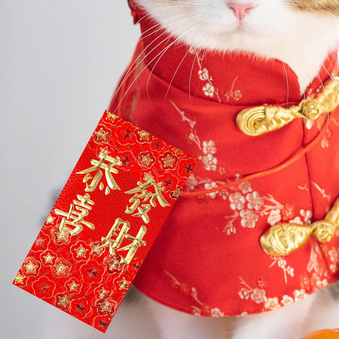 Winlyn 120 Pcs Asian Red Envelopes, 6 Designs for Chinese Lunar New Year, Wedding, Birthday, Cash Envelopes
