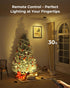 5500mAh 3CCT Dimmable, Spotlights Indoor with Daily Auto Timer, Rechargeable Plant Lights, Wireless Uplighting