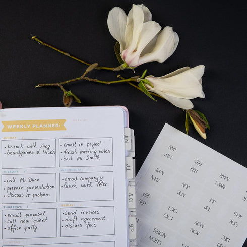DiverseBee Laminated Planner, 24 Peel and Stick Tabs (12 Monthly, 4 Blank), Sand Color Dividers